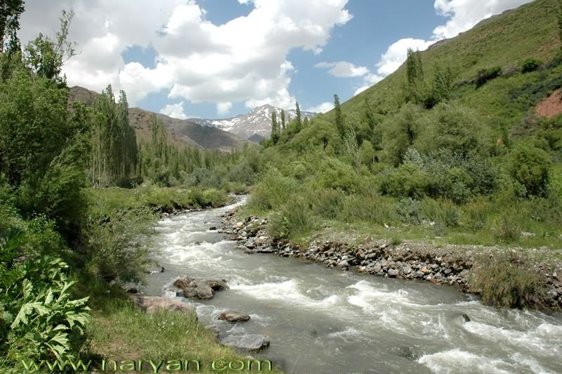 sadaf (17).jpg